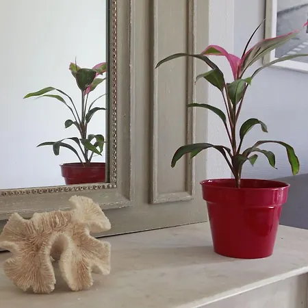 L'appartement De Philibert Angers